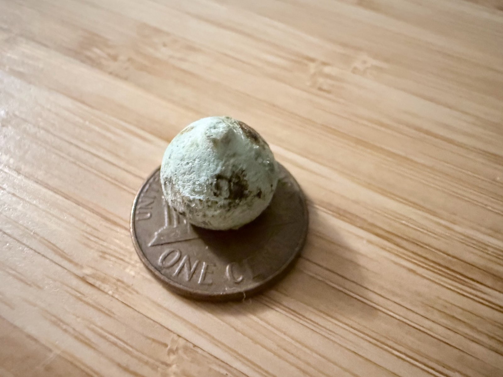 A small, hard, round ball crusted with greenish-white mineral deposits, sitting on a US penny on a wooden table; it is slightly smaller than the coin.